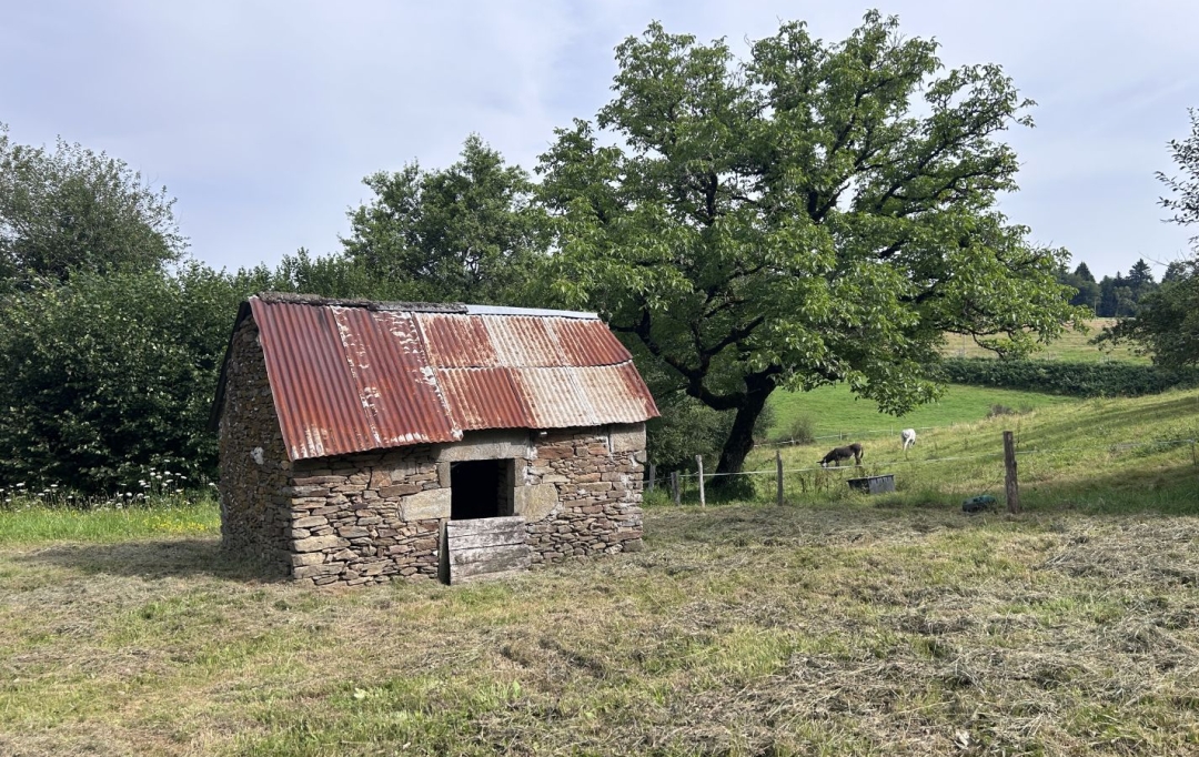 AGENCE DORDOGNE VALLEE : Maison / Villa | SAINT-MERD-DE-LAPLEAU (19320) | 34 m2 | 49 500 € 