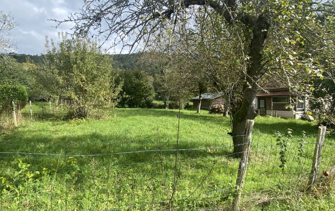 AGENCE DORDOGNE VALLEE : Terrain | ARGENTAT-SUR-DORDOGNE (19400) | 0 m2 | 17 000 € 