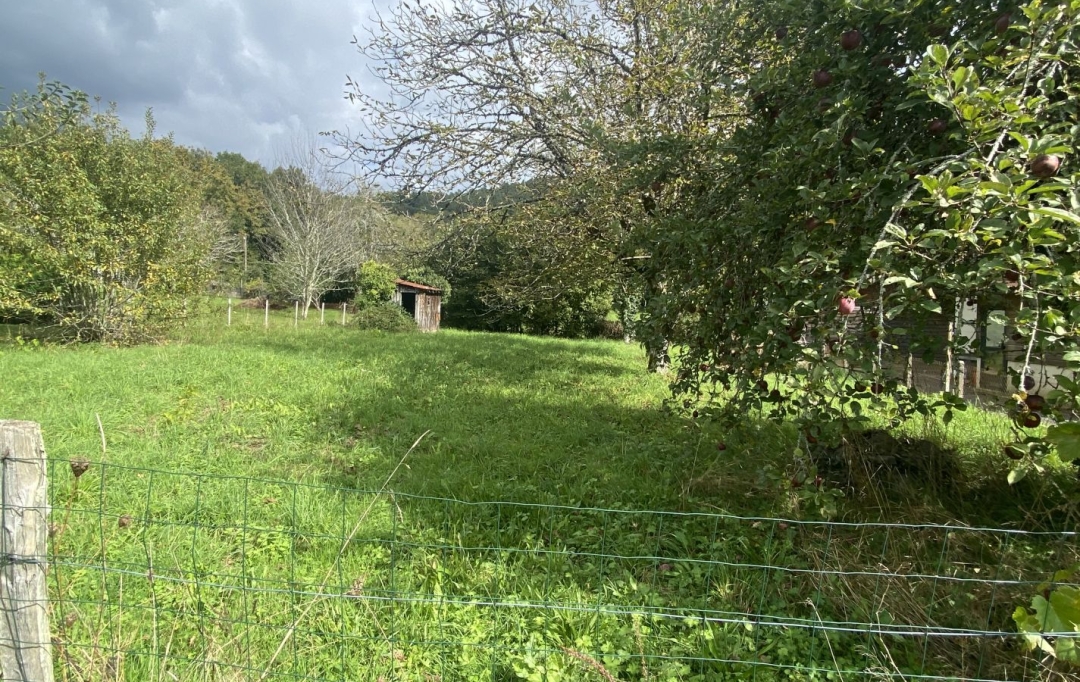 AGENCE DORDOGNE VALLEE : Terrain | ARGENTAT-SUR-DORDOGNE (19400) | 0 m2 | 17 000 € 